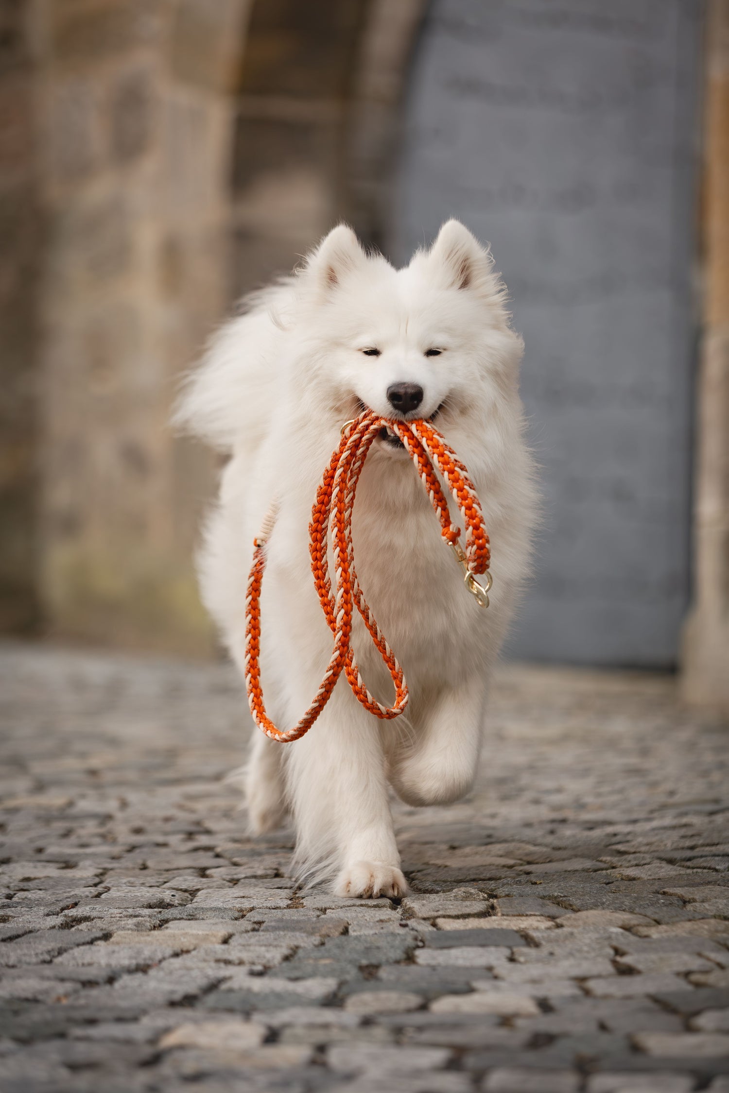 Halsband Leinen Set Raute | Dunkel Orange