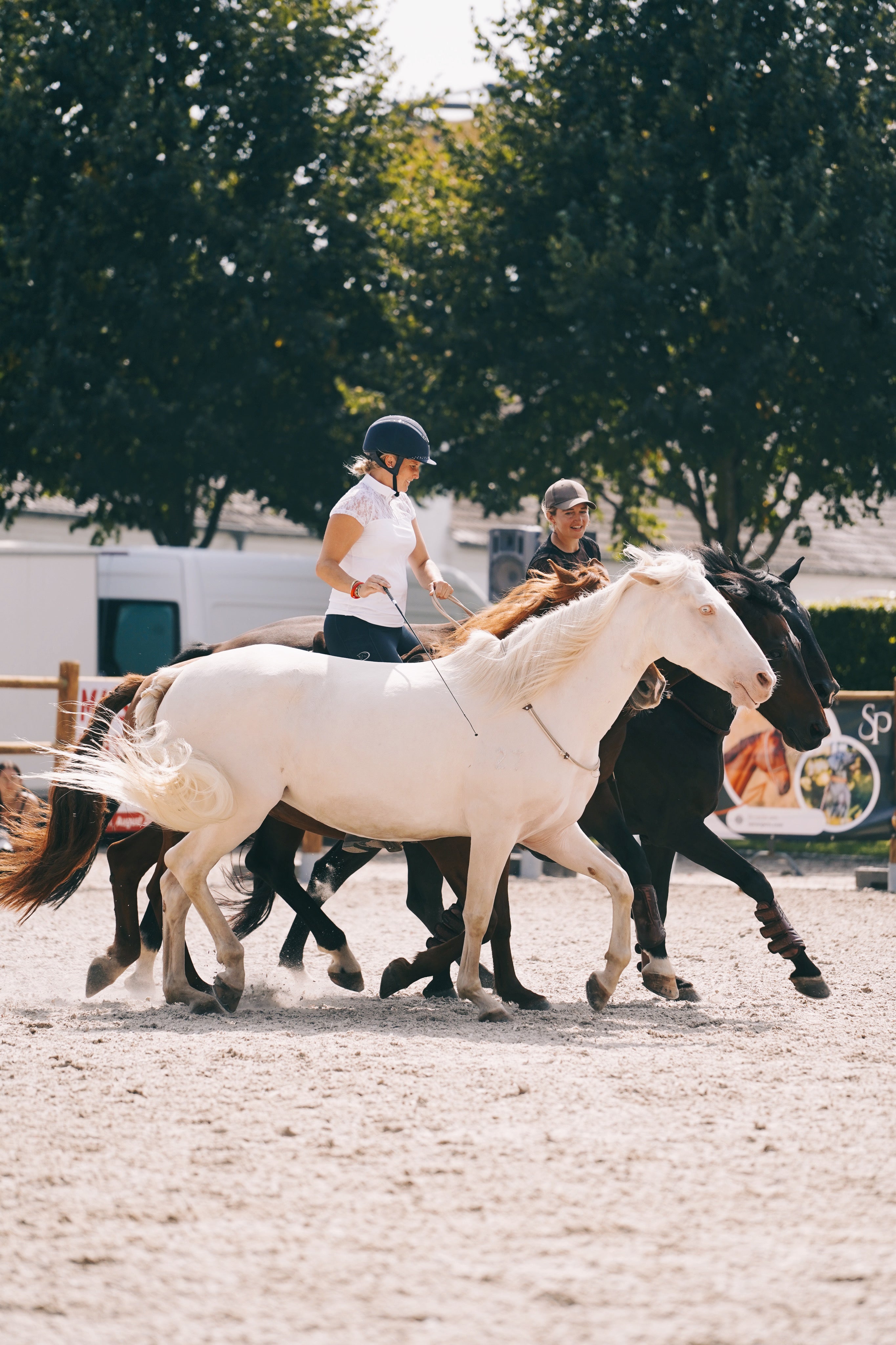 2 in 1 Halsring | Halsring Halfter