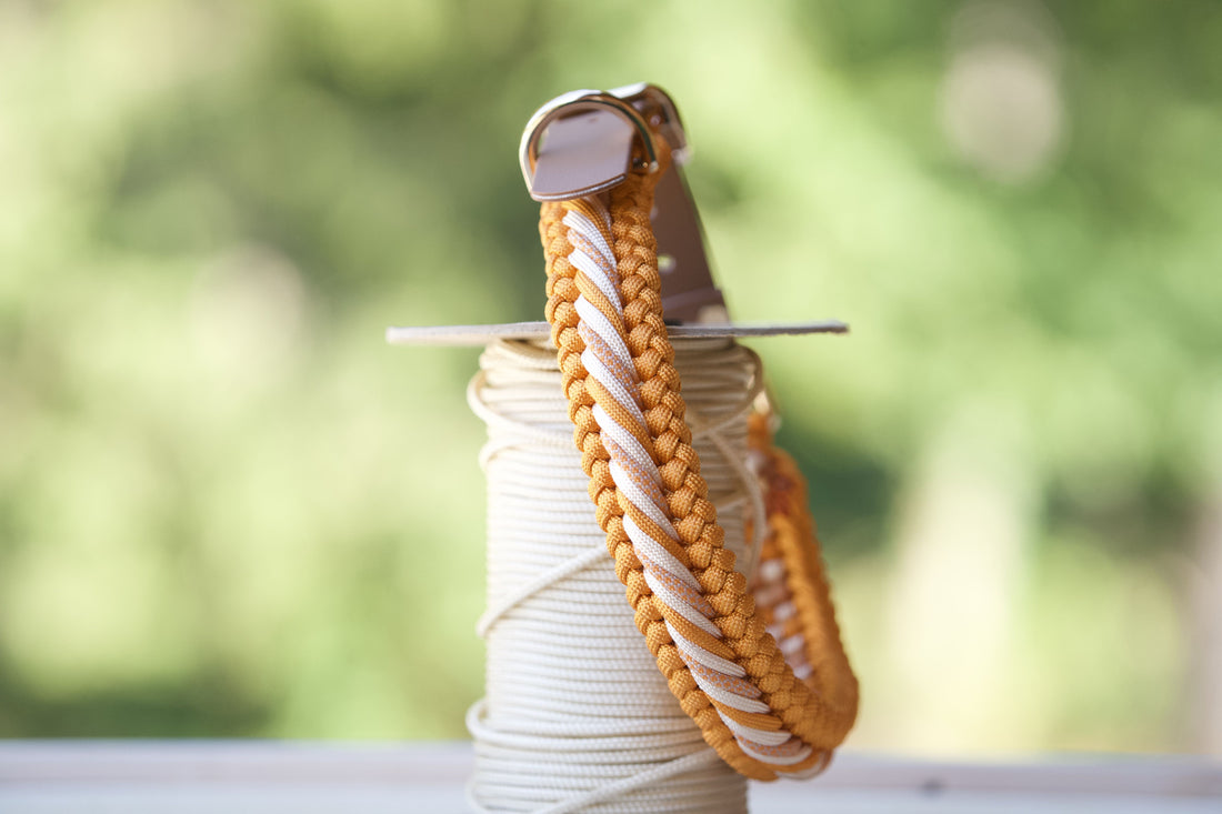 Geflochtenes Halsband Orange gedreht