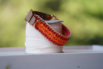 Halsband Bunt + Biothane Leine Weinrot oder Gelb