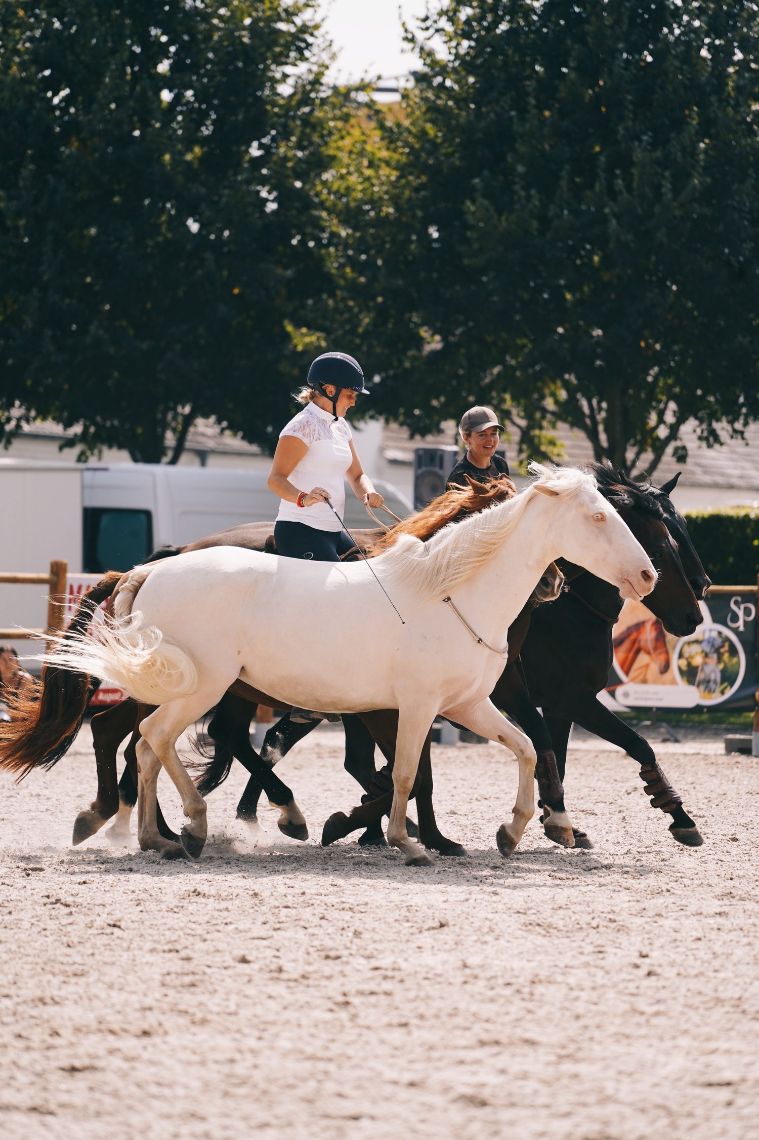 2 in 1 Halsring | Halsring Halfter