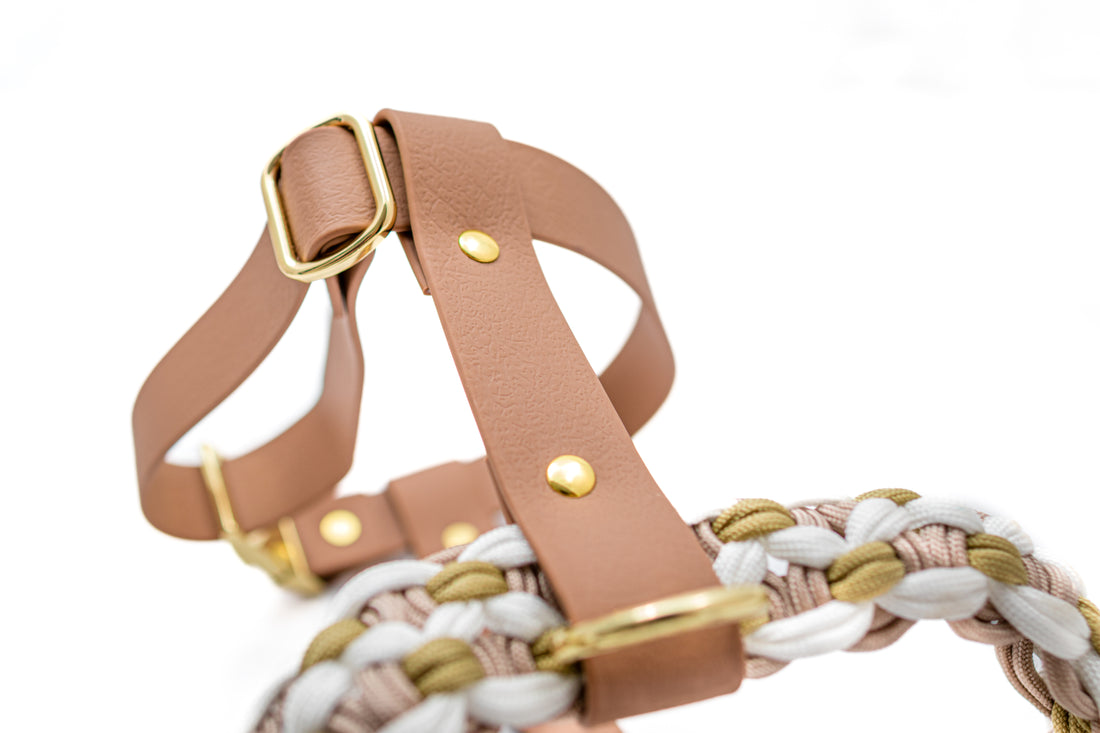 Hundegeschirr Olive Beige