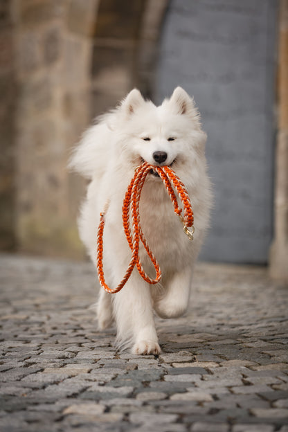 Halsband Leinen Set Raute | Dunkel Orange