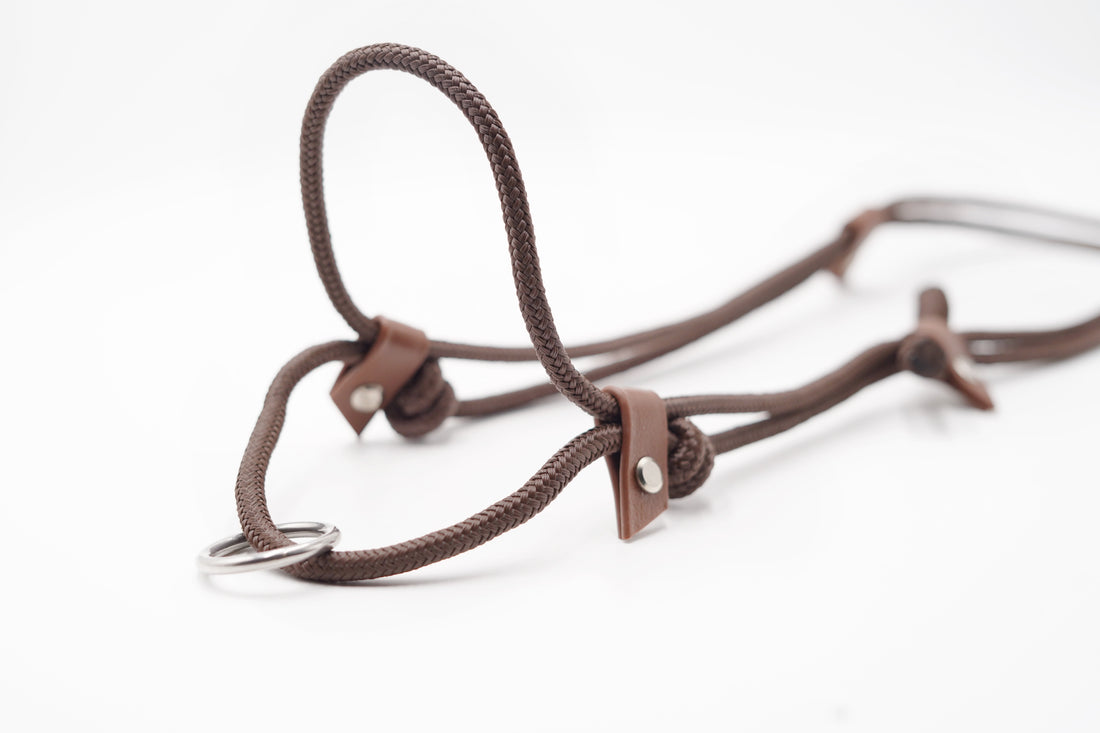 2 in 1 Halsring | Halsring Halfter
