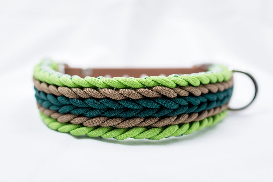 Halsband + Leinen Set Grün Mix