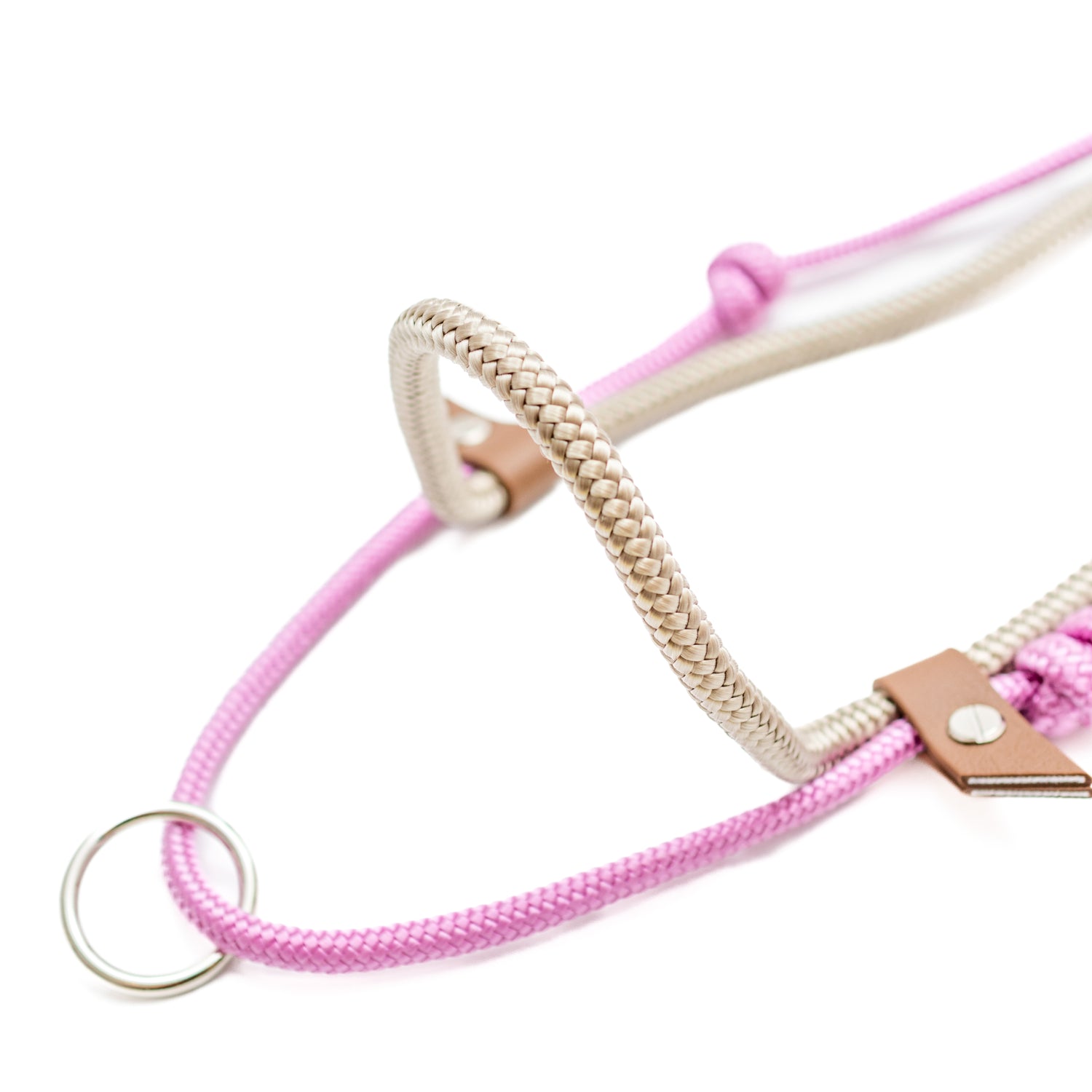 2 in 1 Halsring | Halsring Halfter