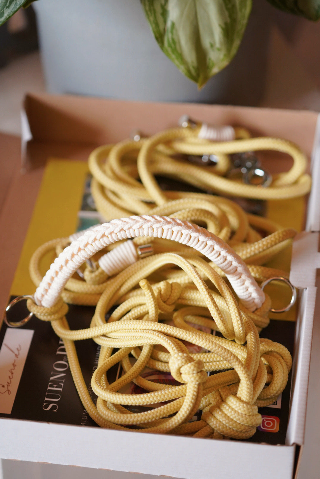 3 Teiliges Set Yellow Dream